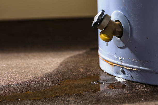 Trusted Plymouth, WI Water damage restoration Experts