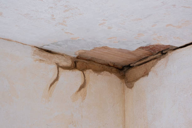 Sewage cleanup and water damage restoration in Plymouth, WI