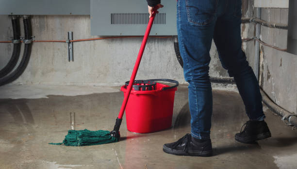 Best Emergency water damage restoration  in Plymouth, WI