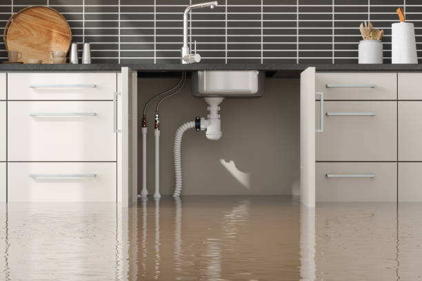 Best Carpet water damage restoration  in Plymouth, WI