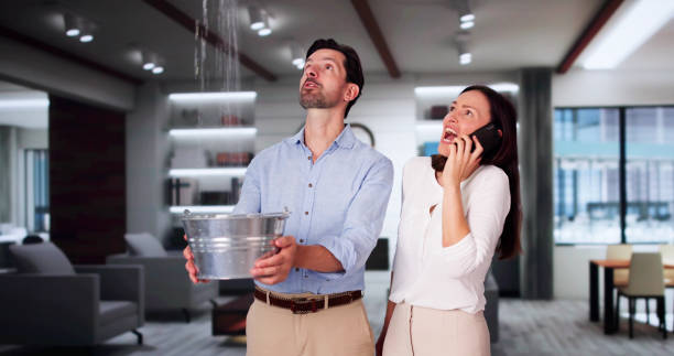 Best Commercial water damage restoration  in Plymouth, WI