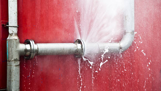 Best 24/7 water damage repair  in Plymouth, WI